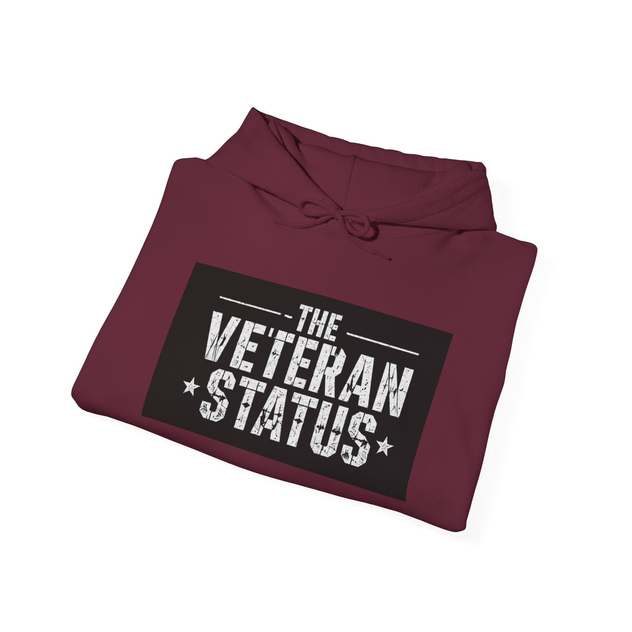 Veteran Status Hoodie – Military Pride Pullover with Sleeve Flag & Emblem