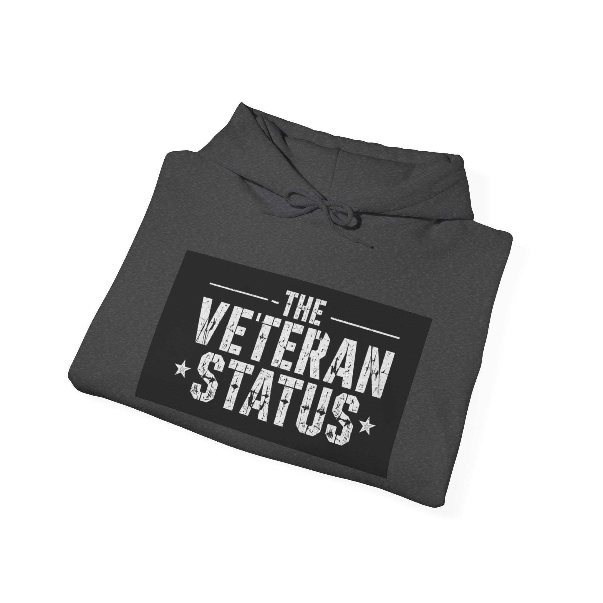 Veteran Status Hoodie – Military Pride Pullover with Sleeve Flag & Emblem